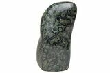 Free-Standing, Polished Kambaba Jasper - Madagascar #219084-1